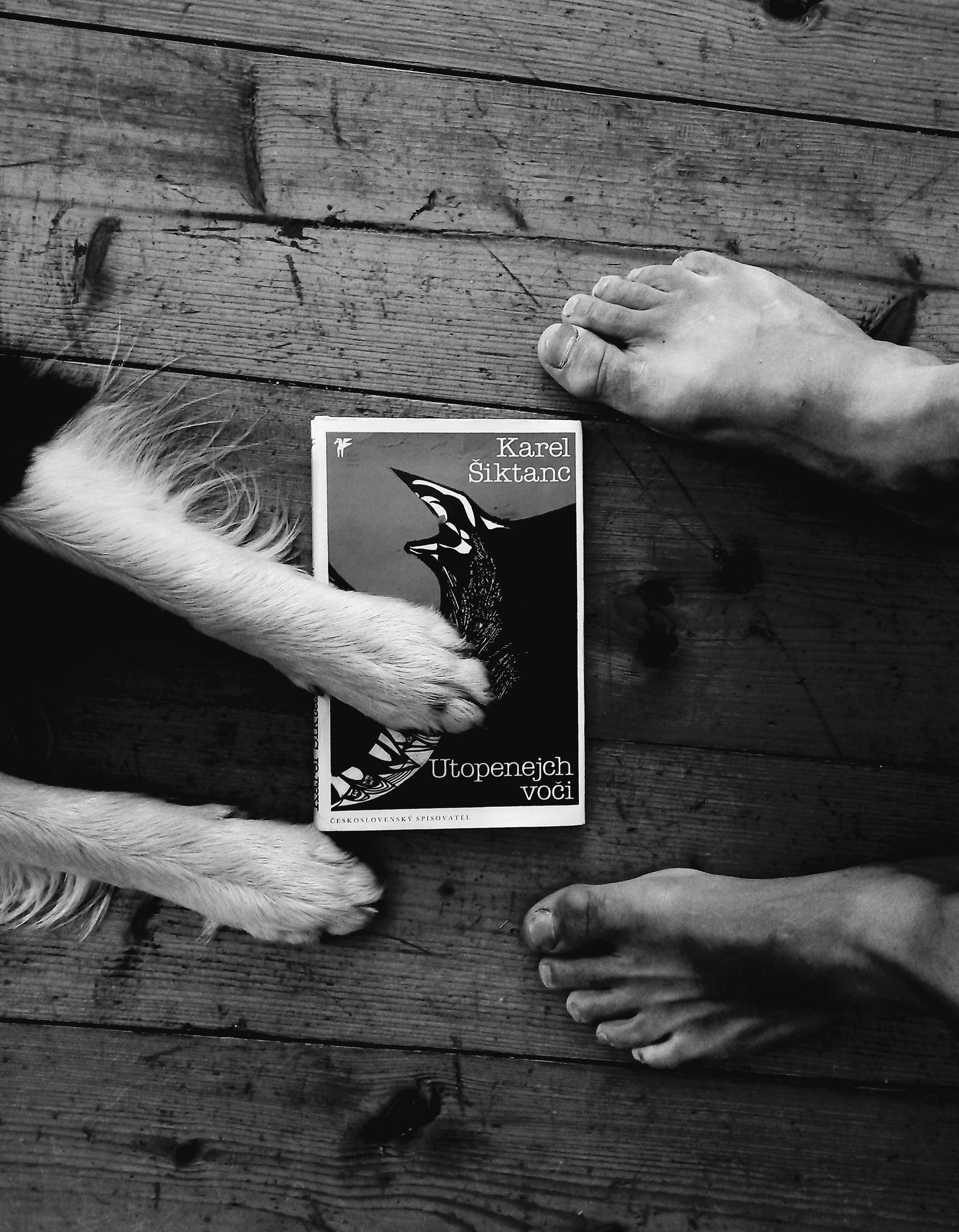 K písni 'Svatý půst'